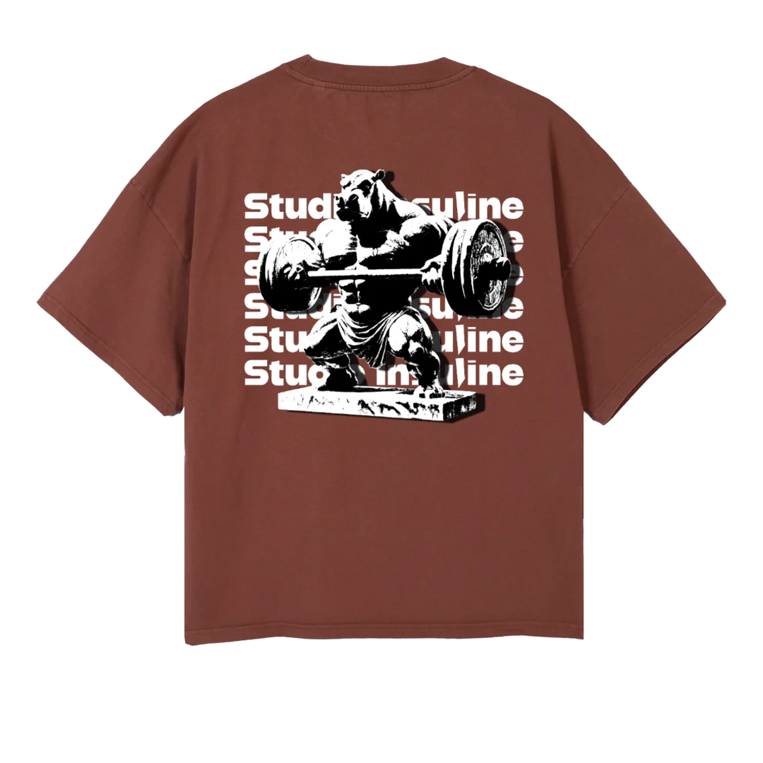 HYPOSSIBLE I Vintage Brown Oversized Boxy Tee